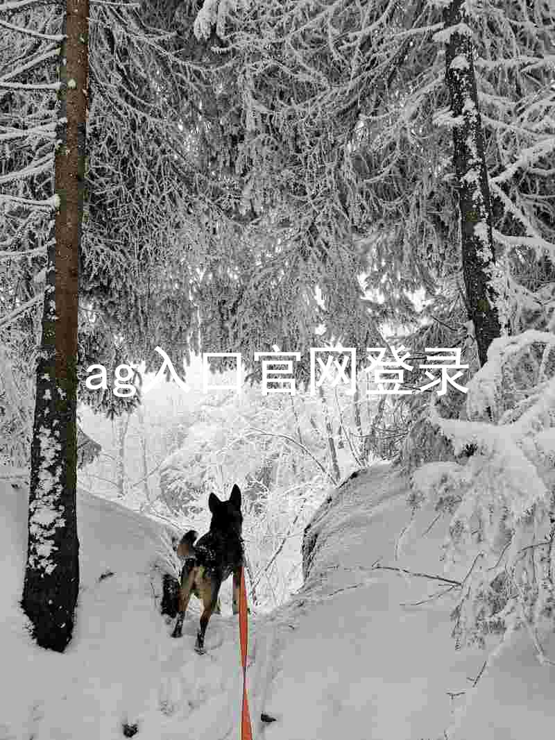 ag入口官网登录