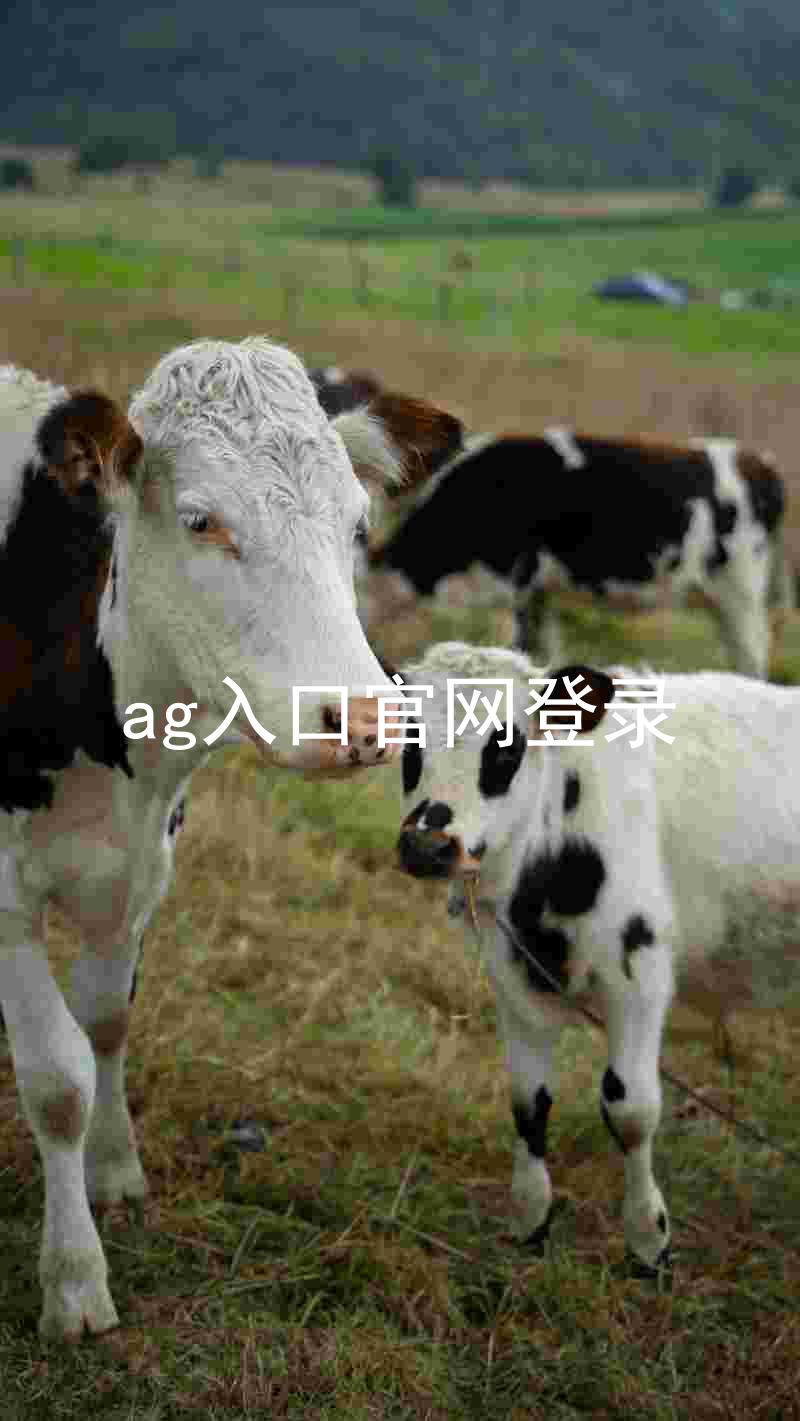 ag入口官网登录